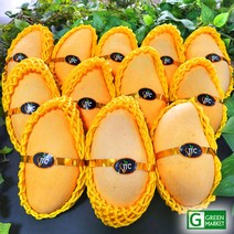 품질보장 골드망고 특대과 항공직송[태국산], 2.5Kg (6과)