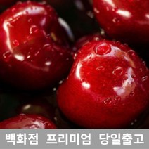 가락청과네 체리 3.5kg 바이오 생체리 가격 과일