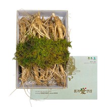 효능에 차이가 없는 난발삼 인삼 500g/750g [세척 비세척] 세척시 비닐포장, 500g비세척 곽 포장