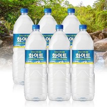 지리산 산청 샘물 화이트 생수 2L 6입
