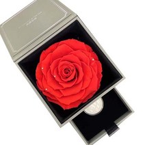 2022 팬더 30g 실버 코인 기념 순은 999 기념주화 기념동전 희귀주화 대박기원선물, 03.전체 페이지 15개
