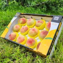당도높은달콤한 프리미엄 햇사레 장호원 황도 복숭아 4kg, 4kg (8과~10과), 1개
