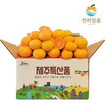 [우체국쇼핑] 천하일품 제주 노지 조생감귤 10kg 소과(2S), 상세 설명 참조