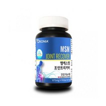 MSM 조인트 리커버 보스웰리아 관절 무릎 비타민 영양제 건강기능
