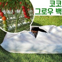 [코코 그로우백], 코코그로우백