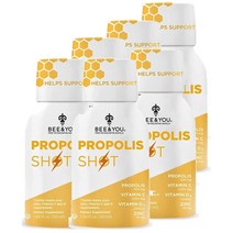 BEE & YOU Propolis Shot 비앤유 프로폴리스 샷 50ml 6팩