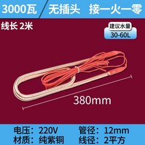 물탱크 가열 스틱 대출력 공업 잠수한 파 이프 물을 차량용무시동히터, T13-퍼플동 220V3KW2 미 실