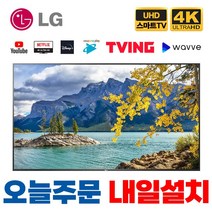 LG전자 2020년 75인치 4K UHD LED 스마트 TV, 서울/경기벽걸이설치