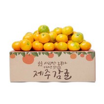제주 햇 감귤 3kg 소과, 단품없음