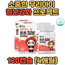 온가족 건강증진 원활한대사 비타민C 비헴철 프리미엄 공시생 재수생 철 산소 수유기여성 임산부 가임기여성 30대 40대 50대 60대 시니어 어르신 키즈 유아 에너지생성 수험생