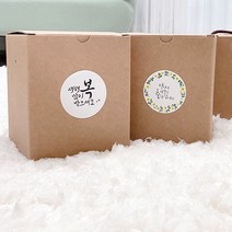 탄탄 브라운 빅모이모 선물상자 10p 크라프트박스 종이케이스 기프트 답례품 간식 포장 12x12x14.2cm, 10개, 브라운 빅모이모상자