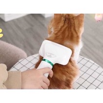 애완동물 목욕 빗 헤어 드라이기 펫 건조기 정리빗, 올인원 헤어 블로우 및 빗질 기계의 자동 버전
