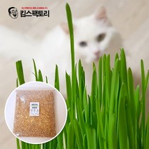 킴스팩토리 캣그라스 씨앗 1kg 고양이풀 캣닢 키우기 펫그라스 귀리씨앗, 01. 보리씨앗 1kg, 1000g