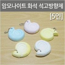 암모나이트화석 석고방향제(5인세트)