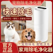 고양이 공기청정기 털 비염 미세먼지 원룸 펫케어, 모발 흡입 청정기 제모 및 냄새 제거