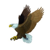 영화사 독수리 자수 와펜, 1개, 브라운
