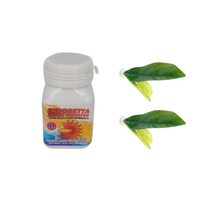 영아쿠아 펠렛 몬스터 1단계 베타 전용 사료 50g + 베타침대 증정