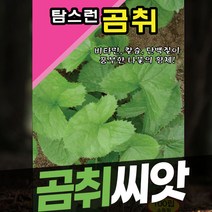 취나물씨앗 곰취씨앗 향이좋은 취나물종자, 탐스런곰취 100립