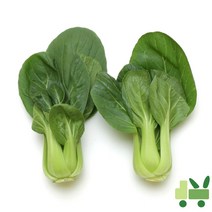 사라상회 청경채 8Kg