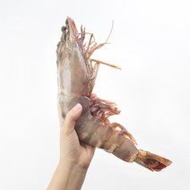 킹 블랙타이거새우 22-40cm 1미 급냉 왕새우 냉동새우 블랙타이거 킹 타이거 새우 특대 대왕새우 캠핑요리, 왕특대 300-350g