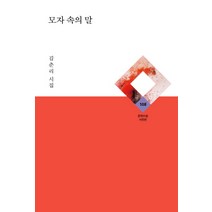 모자 속의 말, 문학수첩, 김춘리
