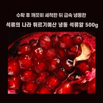 민트팬트리 석류의 나라 터키 튀르기예산 냉동 석류알 500g