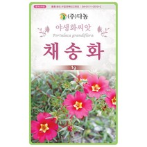 구씨네 다농 채송화 야생화씨앗 1g