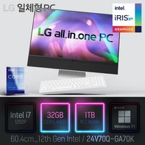 LG 일체형PC(12세대) 24V70Q-GA70K [이벤트 한컴오피스 증정], 24V70Q-GA70K 램32GB   SSD1TB