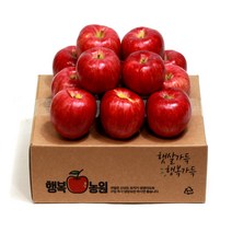 행복농원 문경사과(부사) 2kg, 1박스, 8. 가정용(흠과) 소과 2kg(9~10과)
