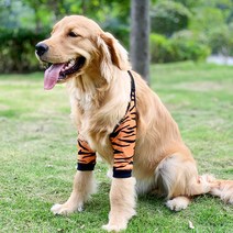 터치온리 강아지슬개골보호대 강아지 관절 보호대 강아지 양쪽 팔꿈치 어깨관절보호대 반려동물 관절 다리 보호대 반려동물 슬개골 보호대 슬개골탈구 보호대 탈구예방 관절보호 슬개골보호대, 타이거 팔꿈치 정장, 2XL (소매 길이 34cm/소매 지방 27cm/발 입