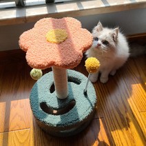[해가 뜨다] 고양이 스크래쳐 고양이 놀이기구 캣츠루틴 스크래칭보드, 25*25*35.5cm, 핑크