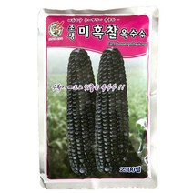 서부농약사 미흑찰 옥수수씨앗 2500립 약75~100평 GMO아님 F1 찰옥수수 씨앗