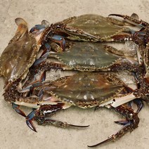 [장보리] 서천 어부의 서해안 꽃게 1kg, 상세 설명 참조
