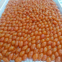 금귤정과 2023 햇 금귤정과, 100g, 100g