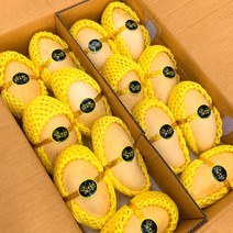 [최저가 항공직송] 고당도 태국 골드망고 설탕망고, 태국망고 5kg(14과 내외), 1개