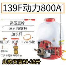 고압살수기 농약분무기 살충제 동력 가솔린 분무기 엔진 4행정 농사용 안개분사 농약 살포기, 139F파워800형두께펌프