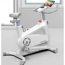 헬스자전거 스마트 자전거 가정용 실내 바이크 홈트, 화이트-고급형