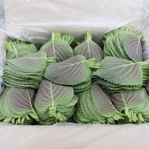 무농약 금산 깻잎 찹찹이 1kg(벌크) 진한 깻잎 향 가득, 1kg, 1개
