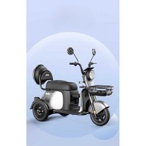 삼륜 전동 스쿠터 동반 애견 전동자전거 성인용 세발, 600W 모터 (48V) 13ah 블랙 골드