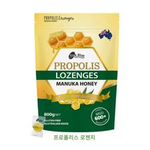 트루블루 프로폴리스 캔디 마누카허니 800G