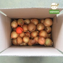 삼촌밥먹자 [무안직송] 황토 무안 양파(장아찌용), 10kg