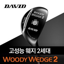 데이비드 신형 2세대 우디웨지 48도 50도 52도 56도 58도 60도 피칭 갭 어프로치 샌드 웨지, 선택완료, 60도/경량스틸(NSPRO)