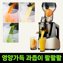 원액기 착즙기 녹즙기 쥬서기 주스기 주서기 과즙기 업소용, 그레이