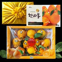 한라봉 선물세트 3kg/5kg / 한라봉 고급선물세트, 5kg(10~18과)