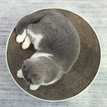 지안 고양이 원형 스크래쳐 캣모나이트 냥모나이트, 41x10