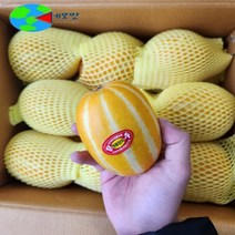 고당도 성주 명품 꿀 참외 정품 가정용 흠집 산지직송, 가정용흡집 대~특대과 3~8과[개별망작업] 3KG