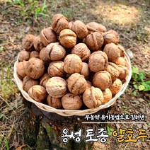 국산 토종 알 호두 500g 1kg 국산 햇호두 김천호두 호도, 국내산 토종호두 (특대)1kg(호두까기포함), 1개