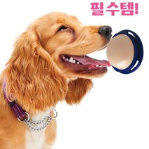 대형견 강아지용 벽 사탕 도그츕스 펫 간식 L 강아지비타민 관절, 1개