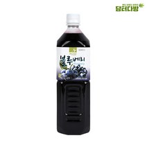 차그림 쥬스베이스 블루베리원액 1000ml, 1, 1