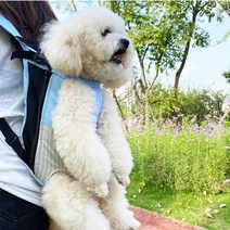 강아지 앞가방 산책 캥거루 가방 강아지포대기